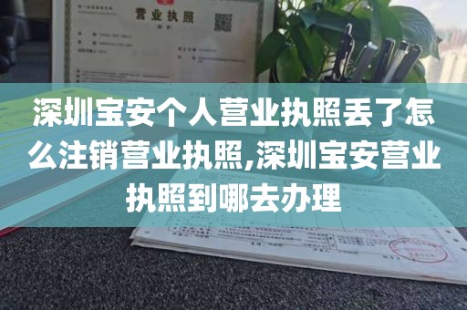 深圳宝安个人营业执照丢了怎么注销营业执照,深圳宝安营业执照到哪去办理