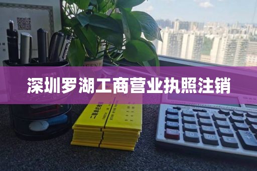 深圳罗湖工商营业执照注销