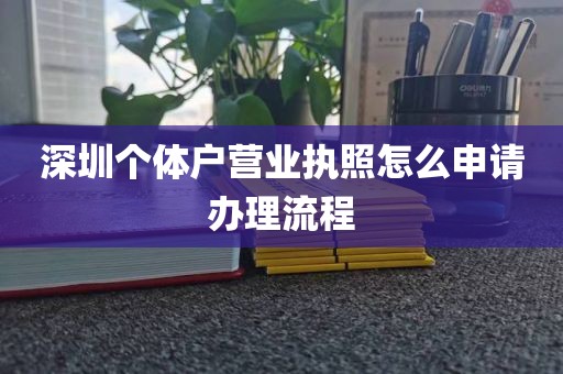 深圳个体户营业执照怎么申请办理流程