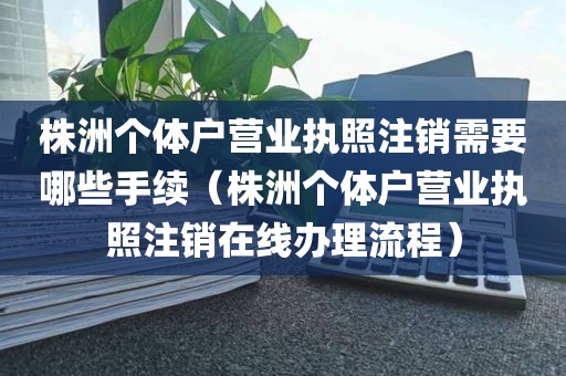 株洲个体户营业执照注销需要哪些手续（株洲个体户营业执照注销在线办理流程）