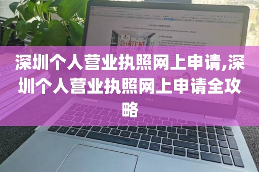 深圳个人营业执照网上申请,深圳个人营业执照网上申请全攻略