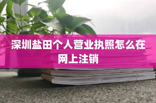 深圳盐田个人营业执照怎么在网上注销