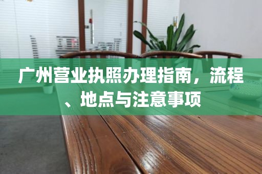 广州营业执照办理指南，流程、地点与注意事项