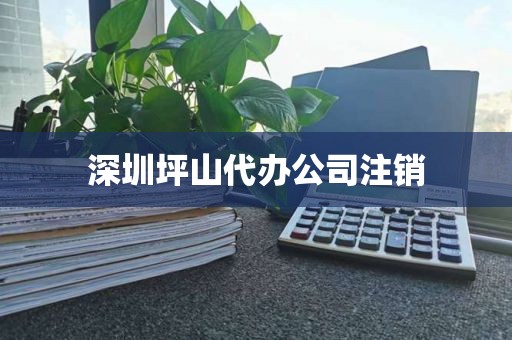 深圳坪山代办公司注销