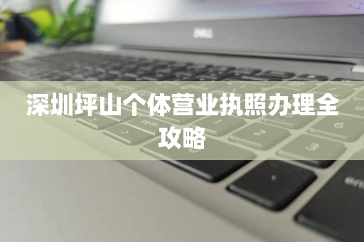 深圳坪山个体营业执照办理全攻略