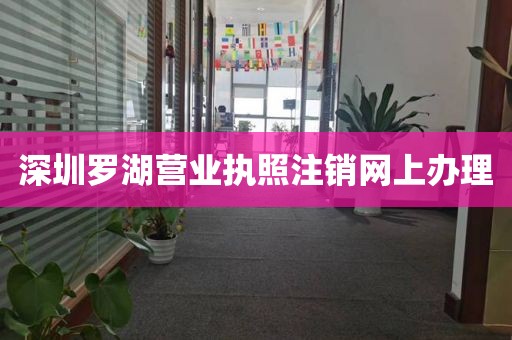 深圳罗湖营业执照注销网上办理