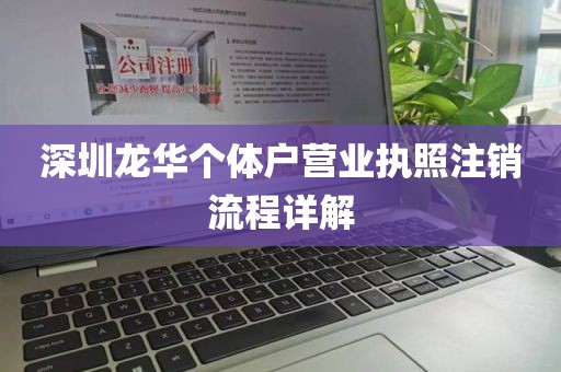 深圳龙华个体户营业执照注销流程详解