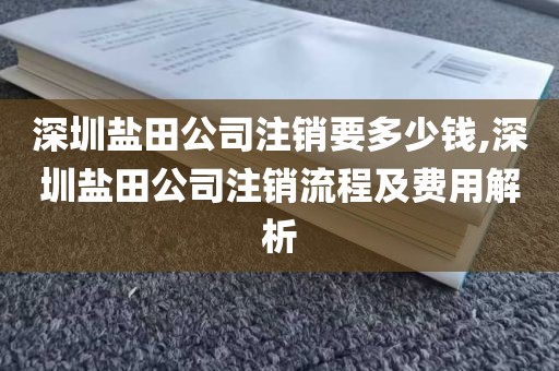 深圳盐田公司注销要多少钱,深圳盐田公司注销流程及费用解析