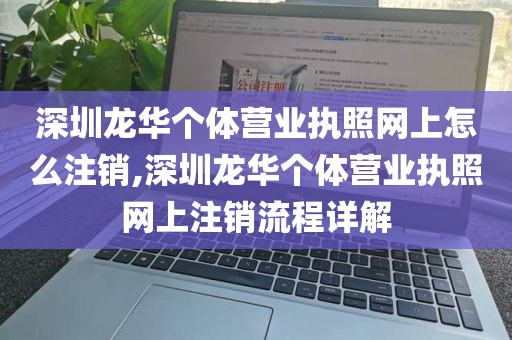深圳龙华个体营业执照网上怎么注销,深圳龙华个体营业执照网上注销流程详解