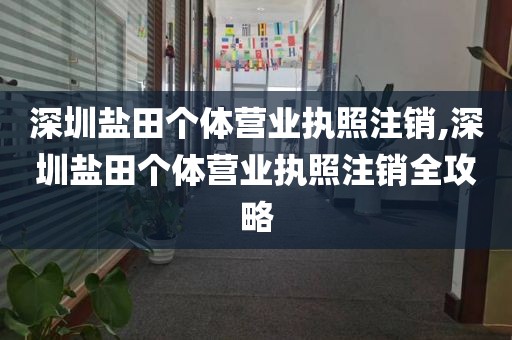 深圳盐田个体营业执照注销,深圳盐田个体营业执照注销全攻略