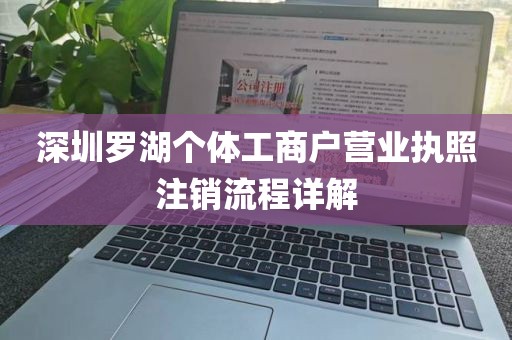 深圳罗湖个体工商户营业执照注销流程详解