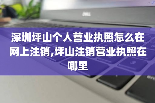 深圳坪山个人营业执照怎么在网上注销,坪山注销营业执照在哪里