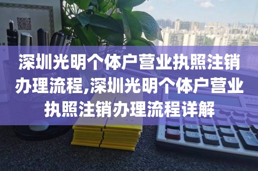深圳光明个体户营业执照注销办理流程,深圳光明个体户营业执照注销办理流程详解