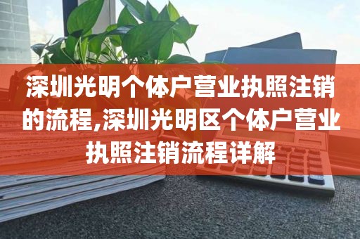 深圳光明个体户营业执照注销的流程,深圳光明区个体户营业执照注销流程详解