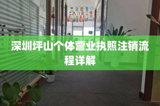 深圳坪山个体营业执照注销流程详解