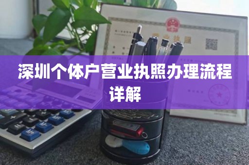 深圳个体户营业执照办理流程详解