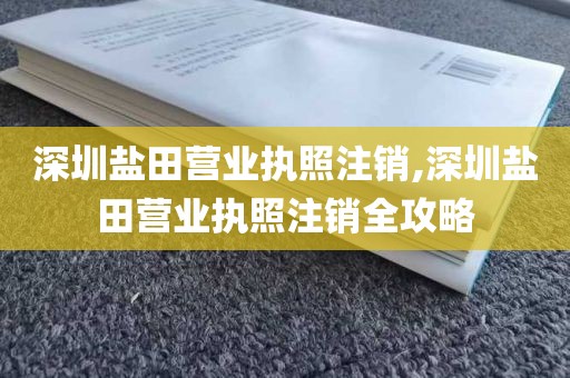 深圳盐田营业执照注销,深圳盐田营业执照注销全攻略