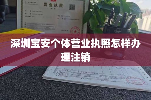 深圳宝安个体营业执照怎样办理注销