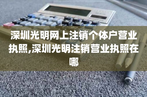 深圳光明网上注销个体户营业执照,深圳光明注销营业执照在哪