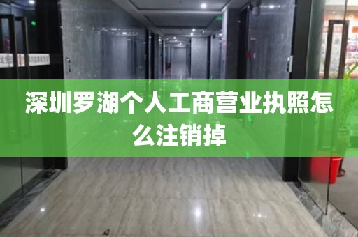 深圳罗湖个人工商营业执照怎么注销掉