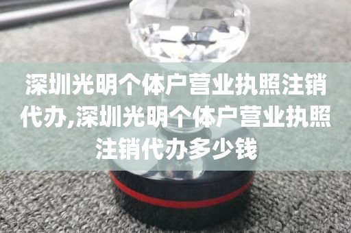 深圳光明个体户营业执照注销代办,深圳光明个体户营业执照注销代办多少钱