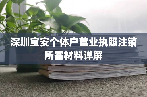 深圳宝安个体户营业执照注销所需材料详解