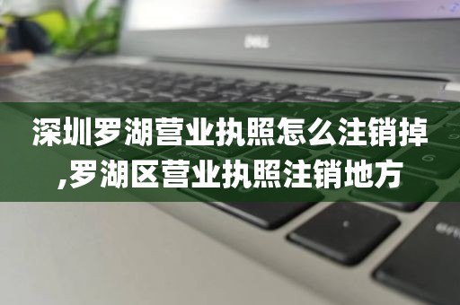 深圳罗湖营业执照怎么注销掉,罗湖区营业执照注销地方