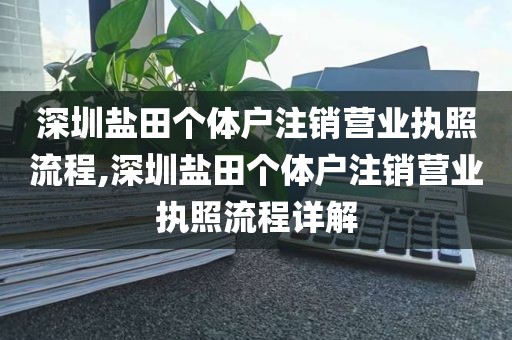 深圳盐田个体户注销营业执照流程,深圳盐田个体户注销营业执照流程详解