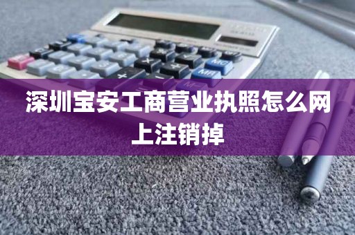 深圳宝安工商营业执照怎么网上注销掉