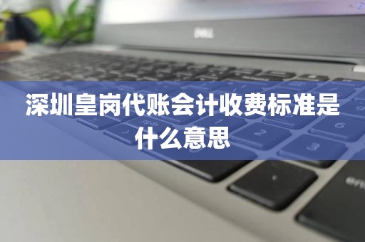 深圳皇岗代账会计收费标准是什么意思
