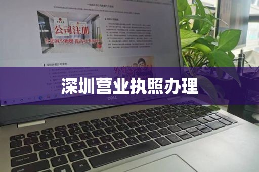 深圳营业执照办理