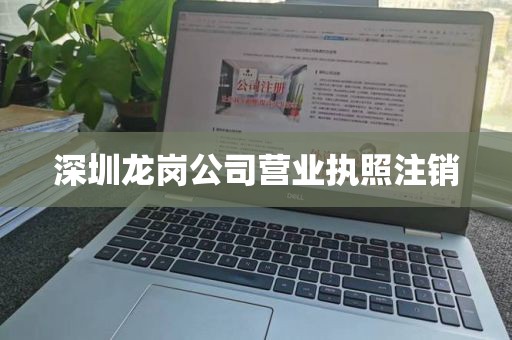 深圳龙岗公司营业执照注销