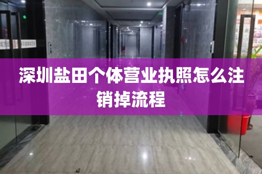 深圳盐田个体营业执照怎么注销掉流程