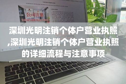 深圳光明注销个体户营业执照,深圳光明注销个体户营业执照的详细流程与注意事项