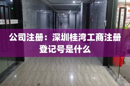 公司注册:深圳桂湾工商注册登记号是什么