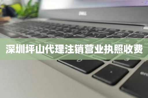 深圳坪山代理注销营业执照收费
