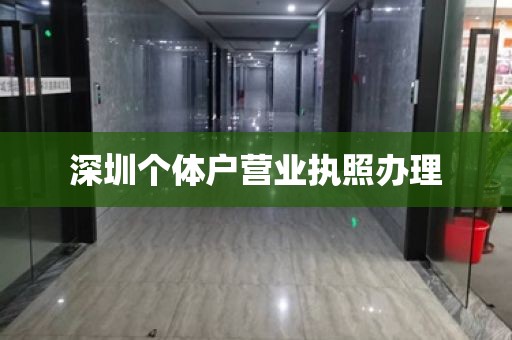 深圳个体户营业执照办理
