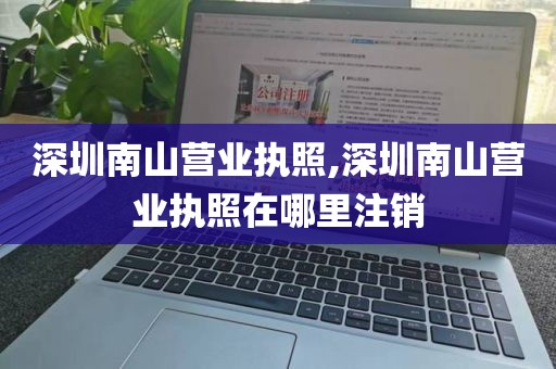 深圳南山营业执照,深圳南山营业执照在哪里注销