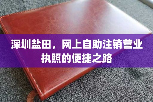 深圳盐田，网上自助注销营业执照的便捷之路