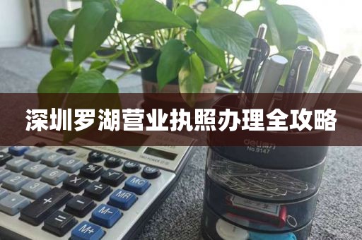 深圳罗湖营业执照办理全攻略