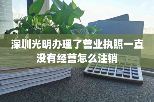 深圳光明办理了营业执照一直没有经营怎么注销