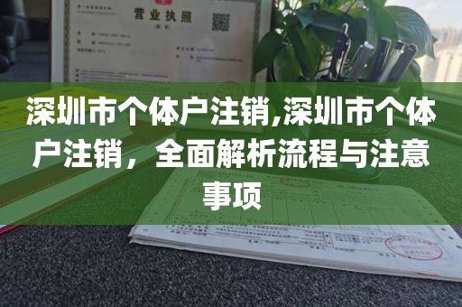 深圳市个体户注销,深圳市个体户注销，全面解析流程与注意事项