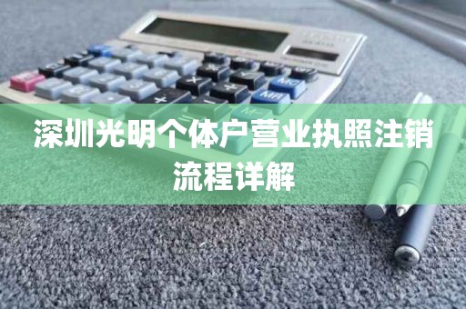 深圳光明个体户营业执照注销流程详解