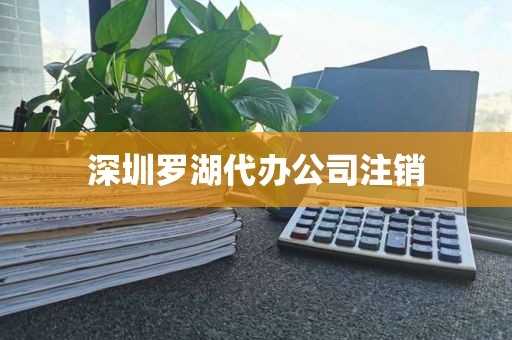深圳罗湖代办公司注销