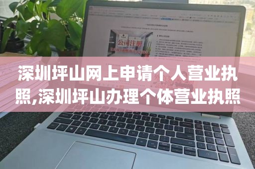 深圳坪山网上申请个人营业执照,深圳坪山办理个体营业执照