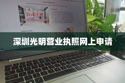 深圳光明营业执照网上申请