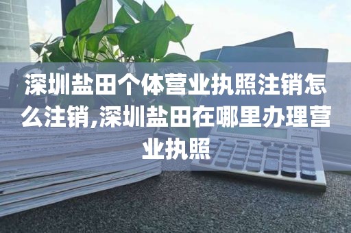 深圳盐田个体营业执照注销怎么注销,深圳盐田在哪里办理营业执照