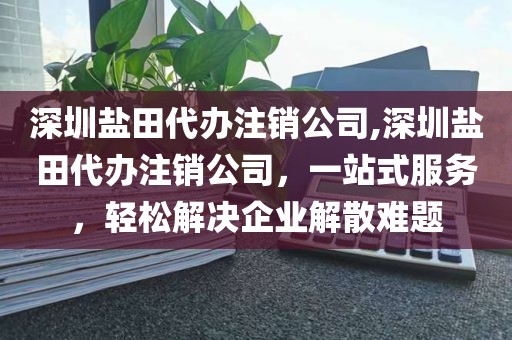 深圳盐田代办注销公司,深圳盐田代办注销公司，一站式服务，轻松解决企业解散难题