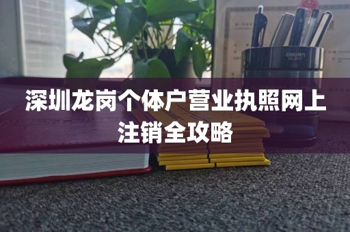 深圳龙岗个体户营业执照网上注销全攻略