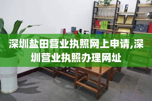 深圳盐田营业执照网上申请,深圳营业执照办理网址